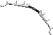 Лук боевой
